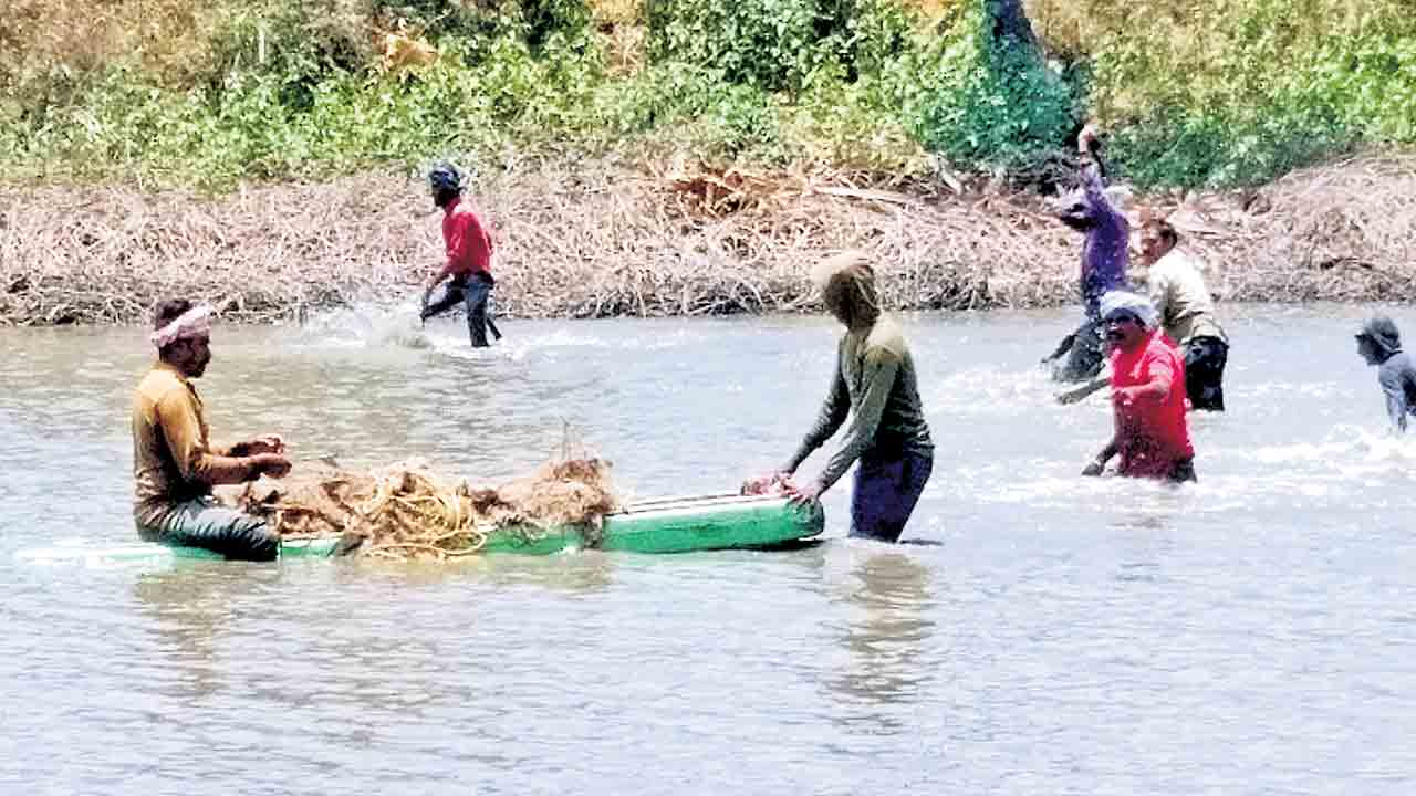 కోహెడలో పెరిగిన మత్స్య సంపద
