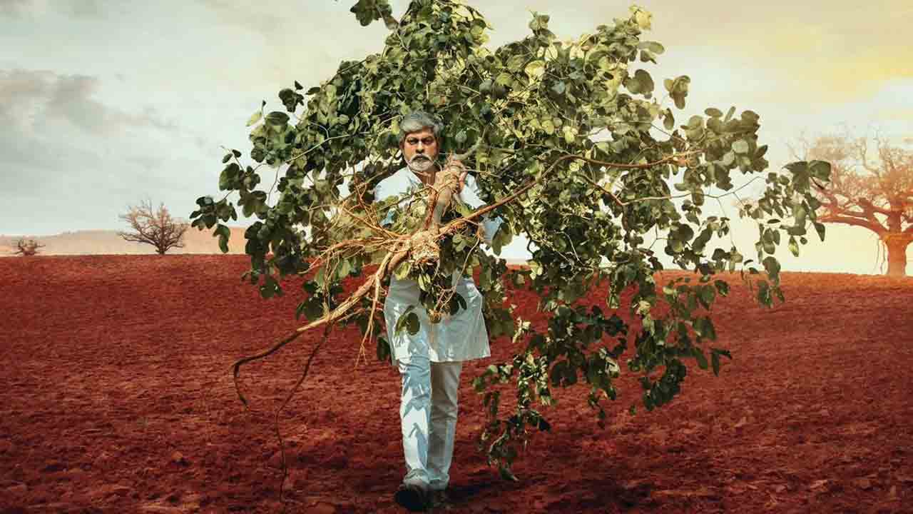 Simbaa first look | చెట్టును మోసుకొస్తున్న జ‌గ్గూభాయ్‌..ఇంట్రెస్టింగ్‌గా ఫ‌స్ట్ లుక్