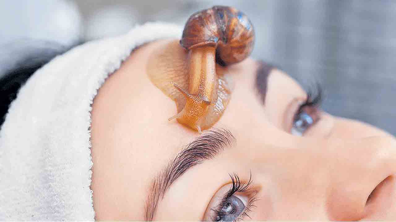 కొత్త చిట్కా.. నత్త వైద్యం