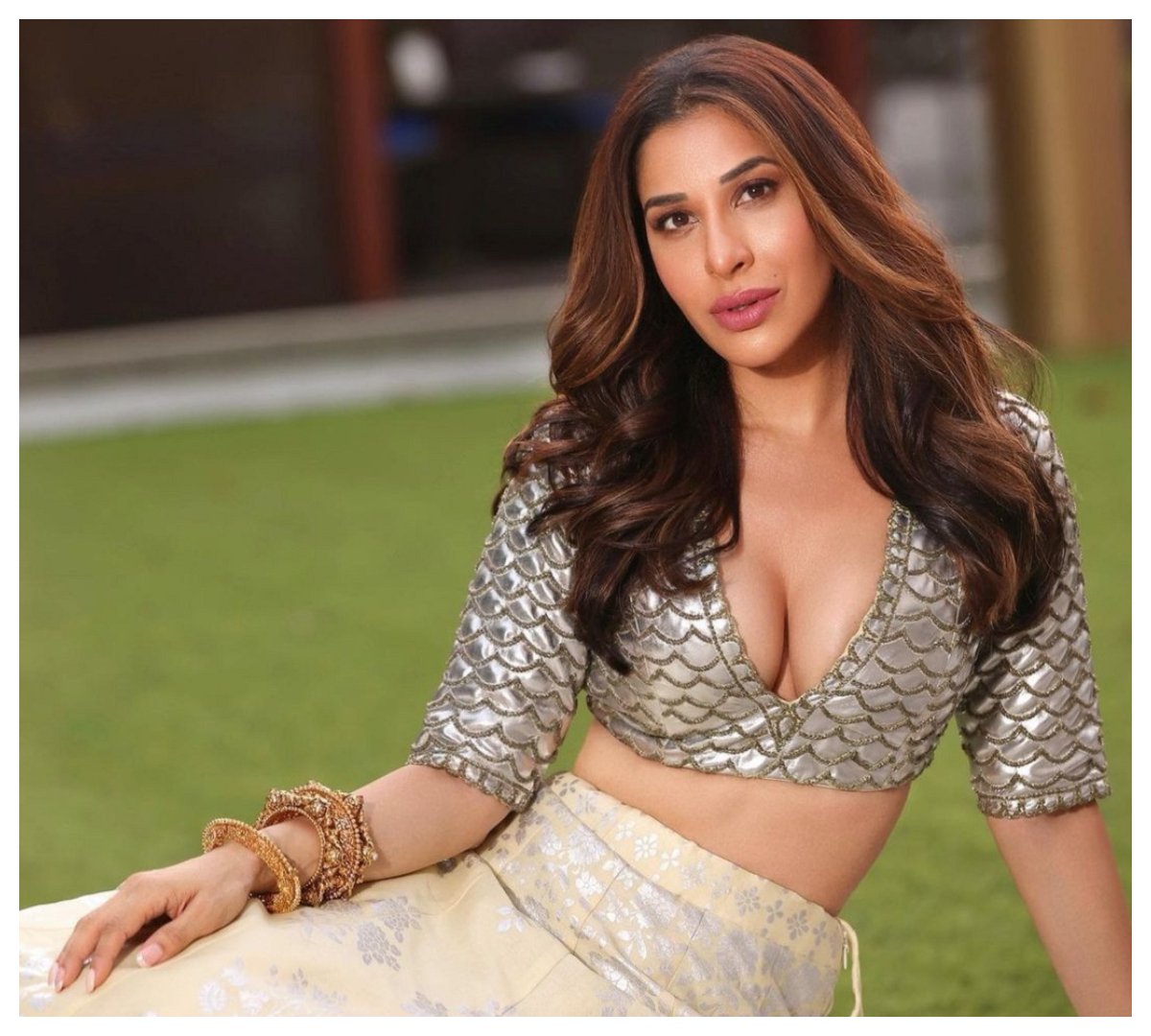 Sophie Choudry | మెరిసే డ్రెస్‌లో ప‌రువాలు ఒల‌క‌బోసిన సోఫీ చౌదరి..