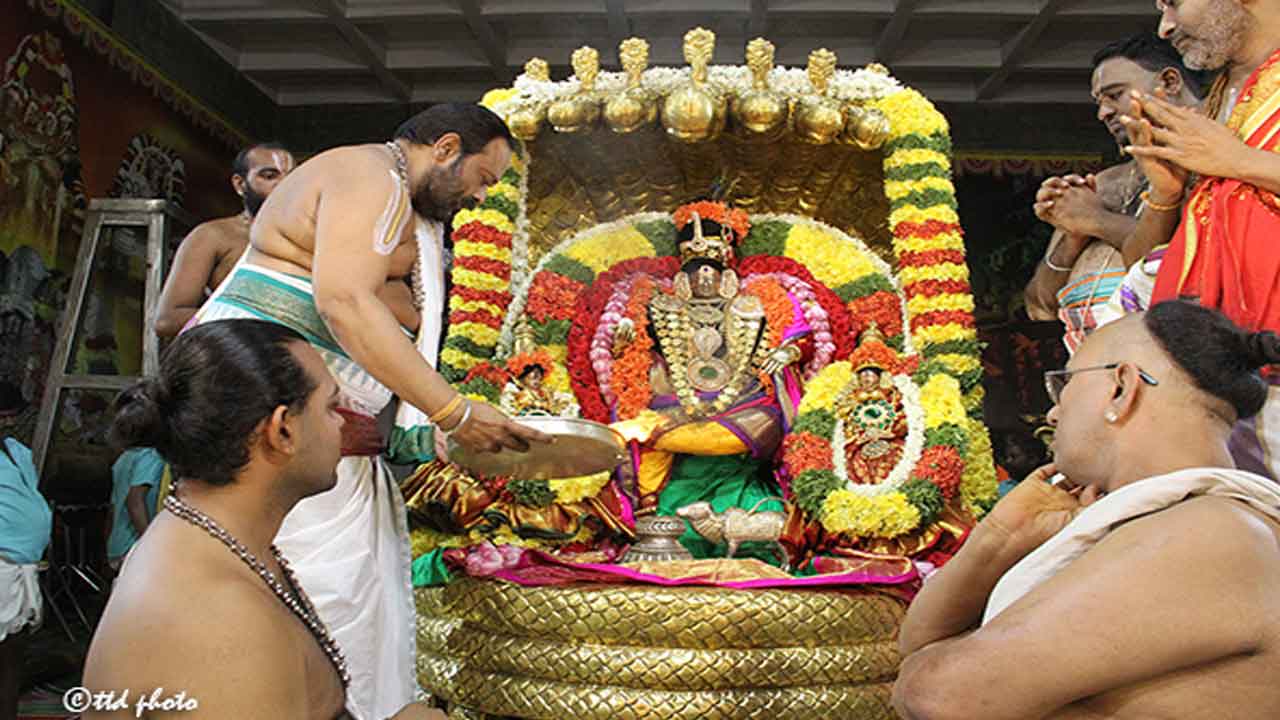 వైభవంగా శ్రీ సుందరరాజస్వామివారి అవతార మహోత్సవాలు