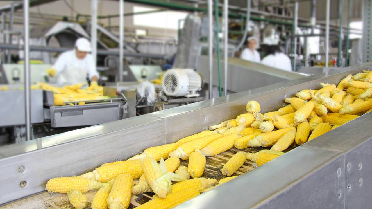 వడివడిగా ఫుడ్‌ ప్రాసెసింగ్‌ జోన్ల భూసేకరణ