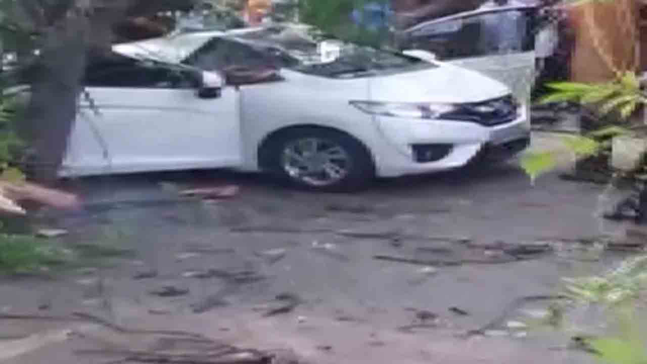 కారుపై కూలిన చెట్టు… డ్రైవింగ్‌ చేస్తున్న మహిళ మృతి