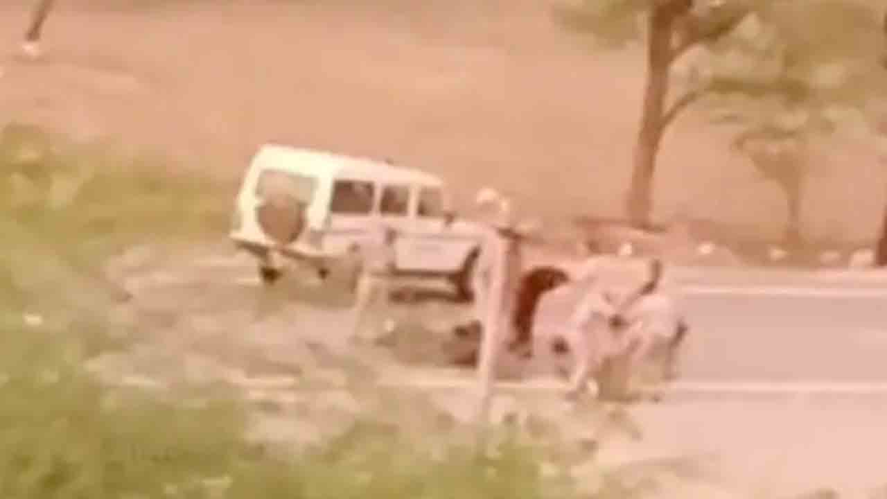 Watch: ఉదయ్‌పూర్ టైలర్‌ హంతకులు… పోలీసుల చేతికి ఇలా చిక్కారు!