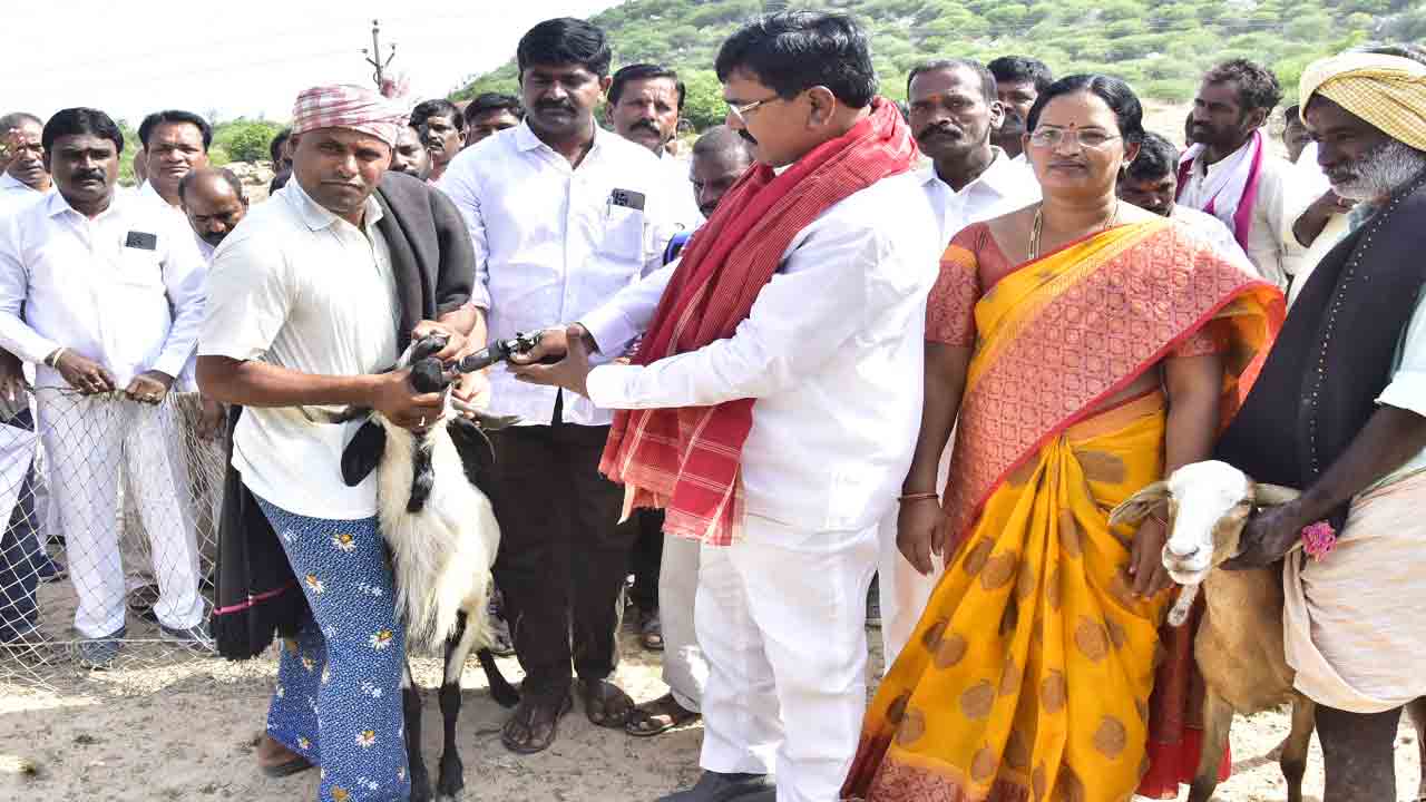 జీవాల పెంపులో వనపర్తి టాప్‌