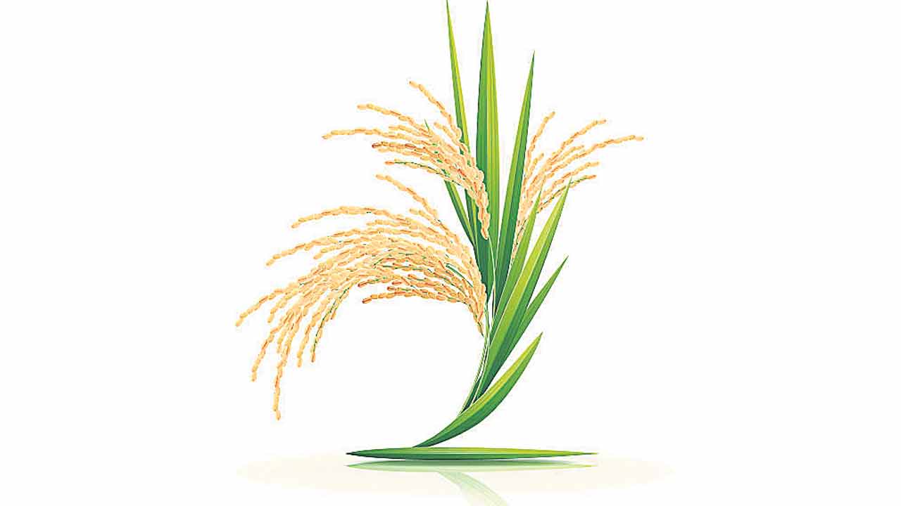 ఆయువుపట్టు..