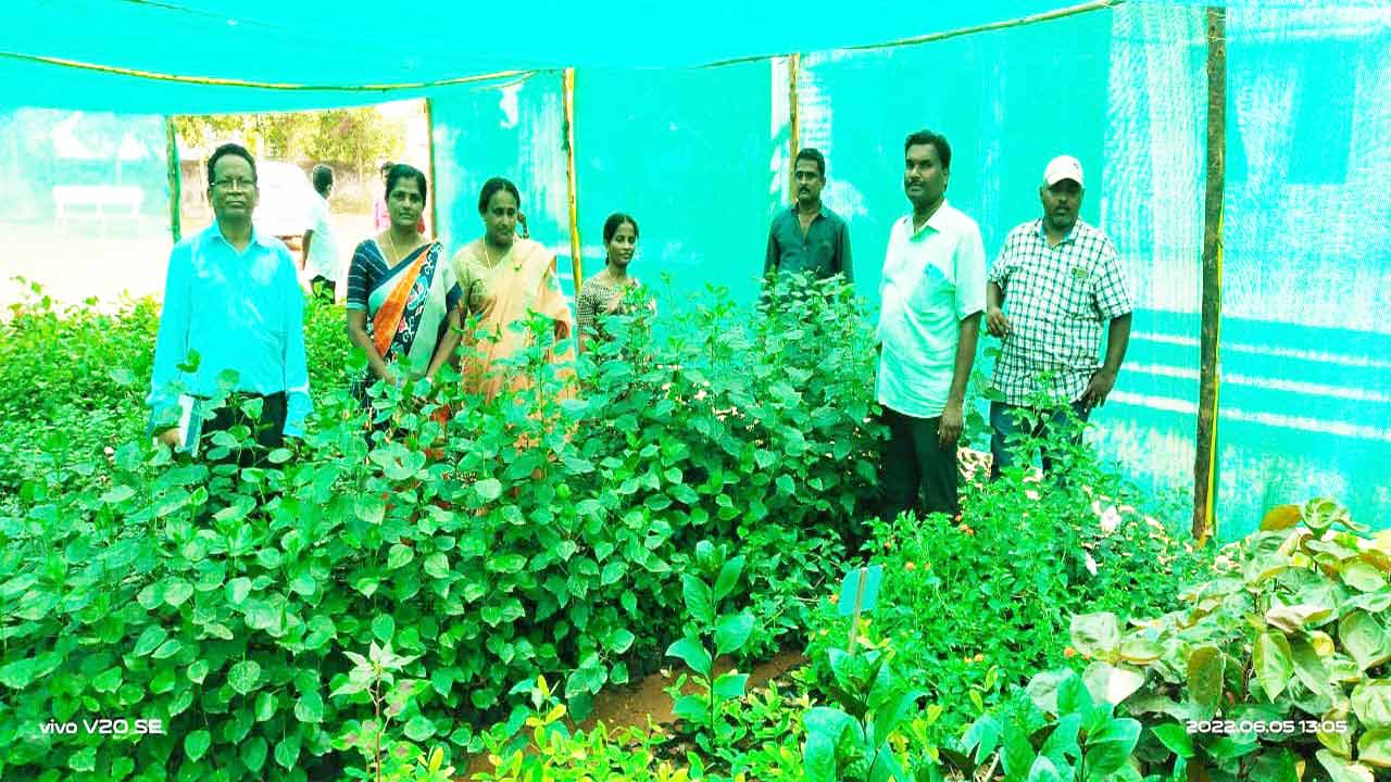 హరితహారం లక్ష్యాన్ని చేరుకోవాలి