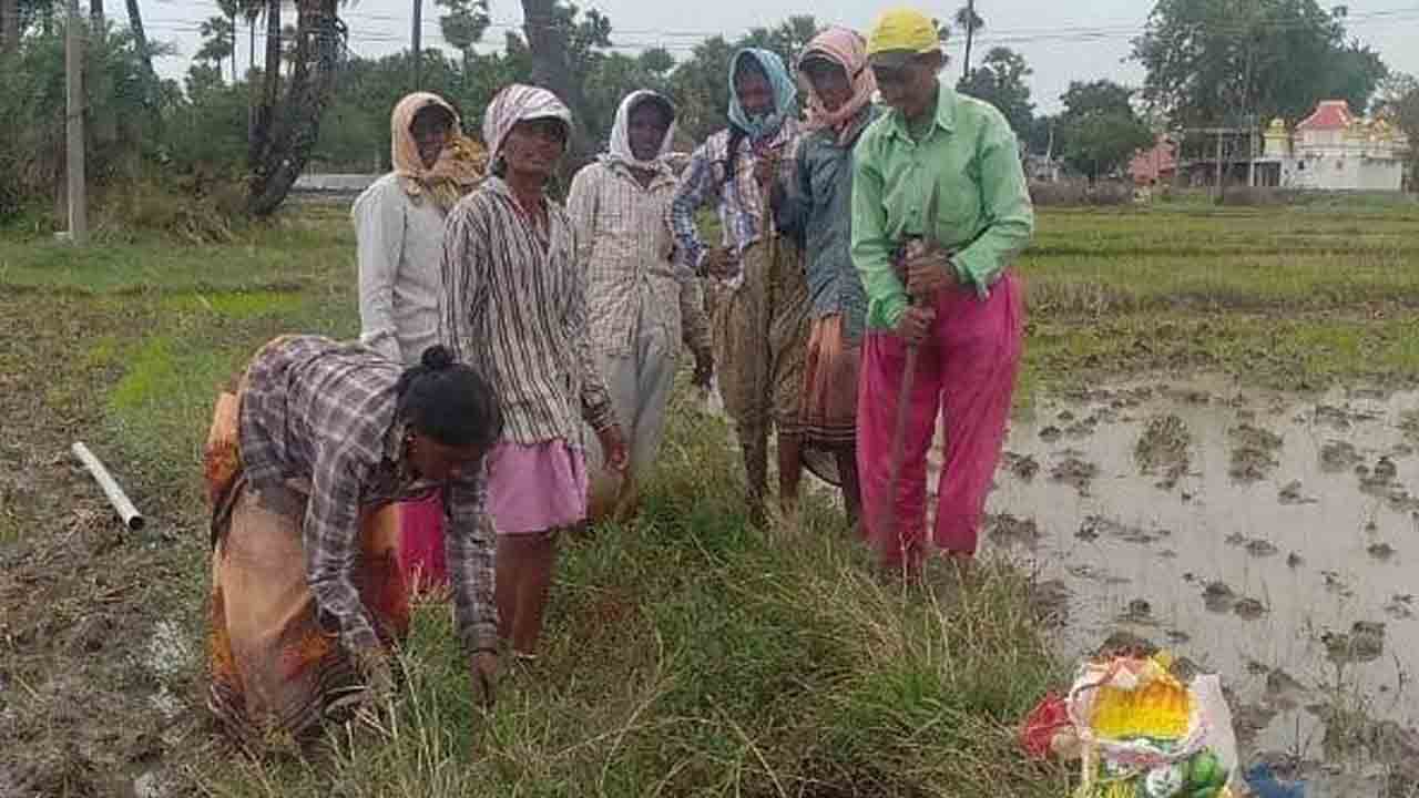 చి‘వరి’ ఆయకట్టుకు నీరందేలా..