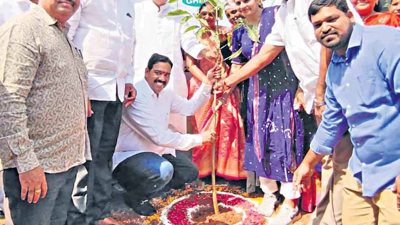 పుట్టినరోజు మొక్కలు నాటిన ఎమ్మెల్సీ నవీన్‌కుమార్