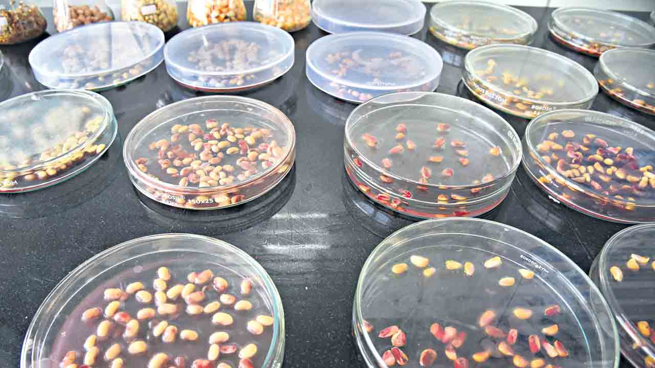 రైతన్నా.. ‘నకిలీ’ పనిపట్టు!