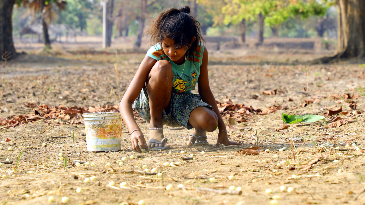 ఆదివాసీలు ఇప్ప‌పూల‌తో భూదేవిని పూజించే ఈ పండుగ ప్ర‌త్యేక‌త ఏంటో తెలుసా !!