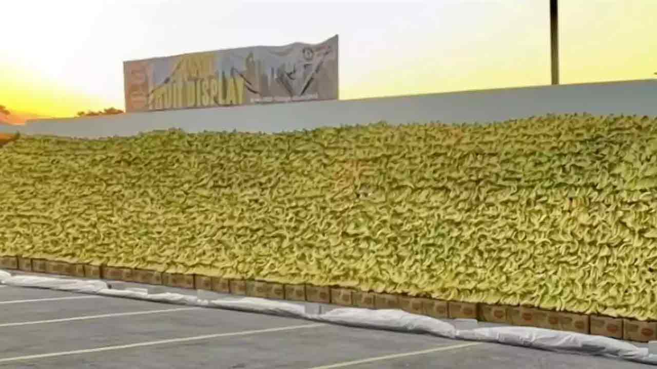 Viral video: వామ్మో ఇన్ని అర‌టిపండ్లా? ఒకేచోట 31వేల కిలోల పండ్లు ఎందుకు పోశారంటే?