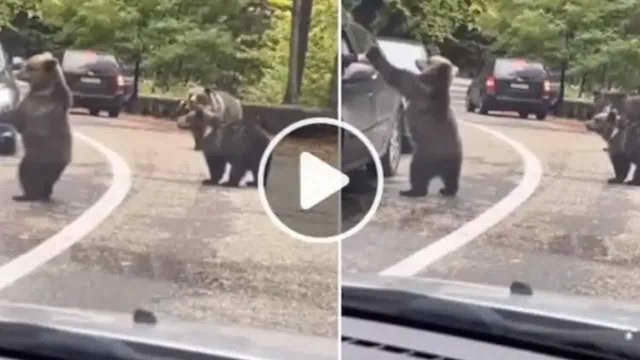 Viral Video: కారులో కూర్చున్న వ్య‌క్తికి ఎలుగుబంటి హై ఫైవ్‌..ఆశ్చ‌ర్య‌పోయిన నెటిజ‌న్స్‌