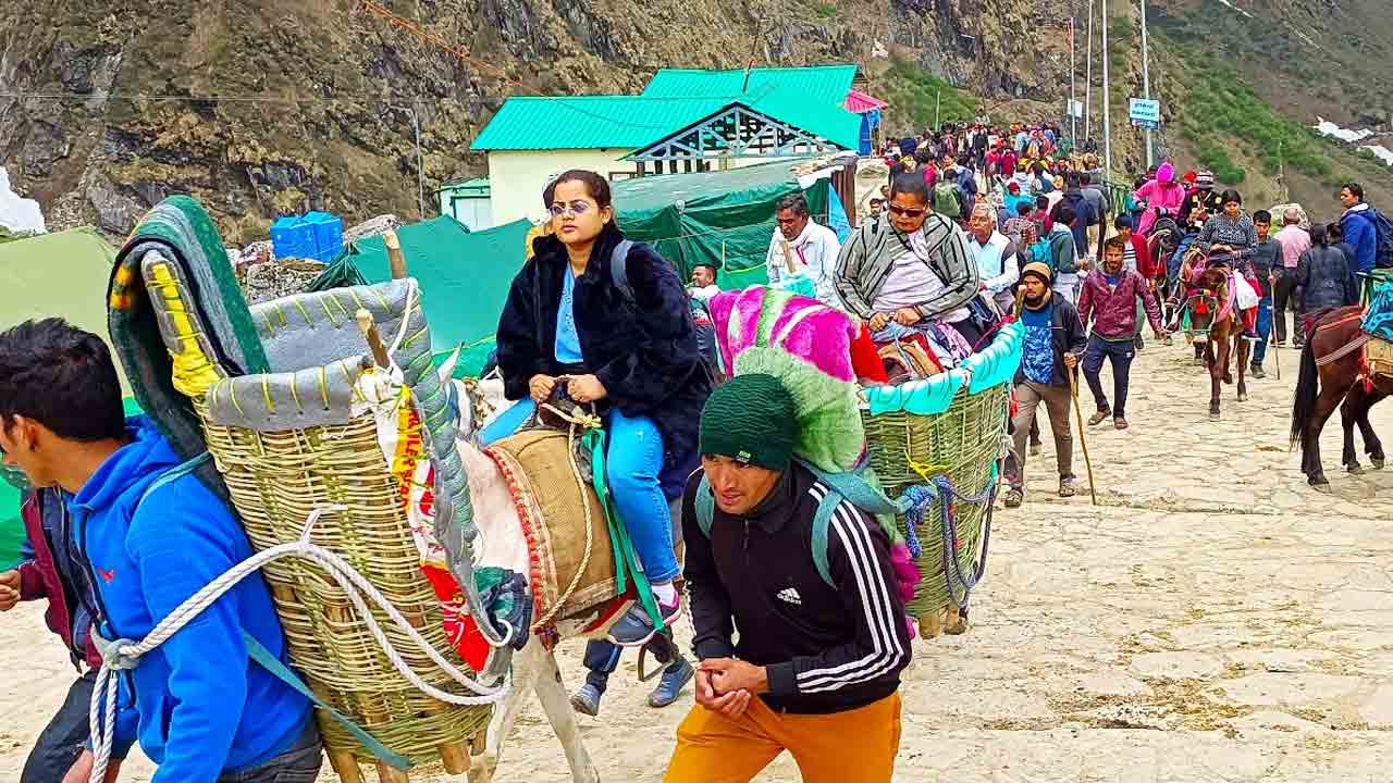 చార్‌ ధామ్‌ యాత్రలో 203 మంది మృతి