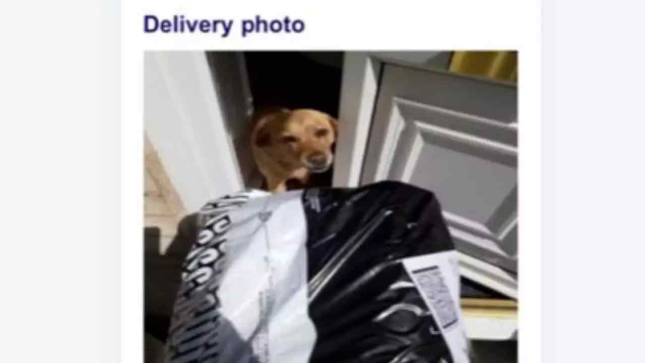 Viral photo:  కుక్క‌కు పార్సిల్ క‌వ‌ర్‌.. య‌జ‌మాని క‌న్ఫ్యూజ‌న్‌!!