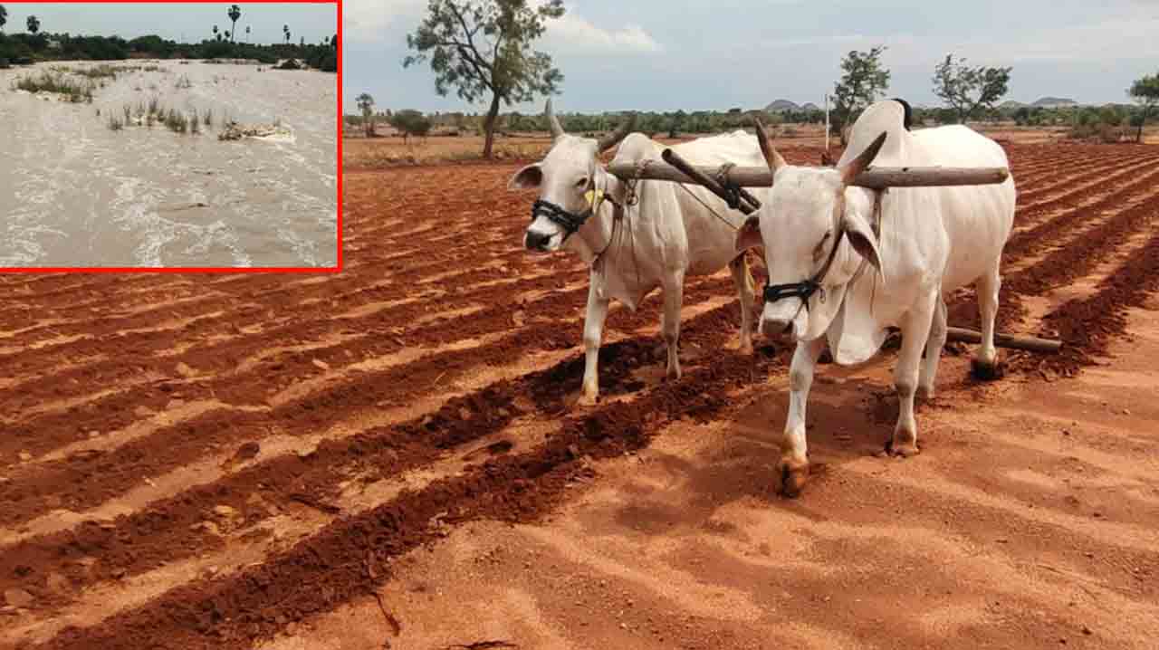 తొలకరి పలుకరింత