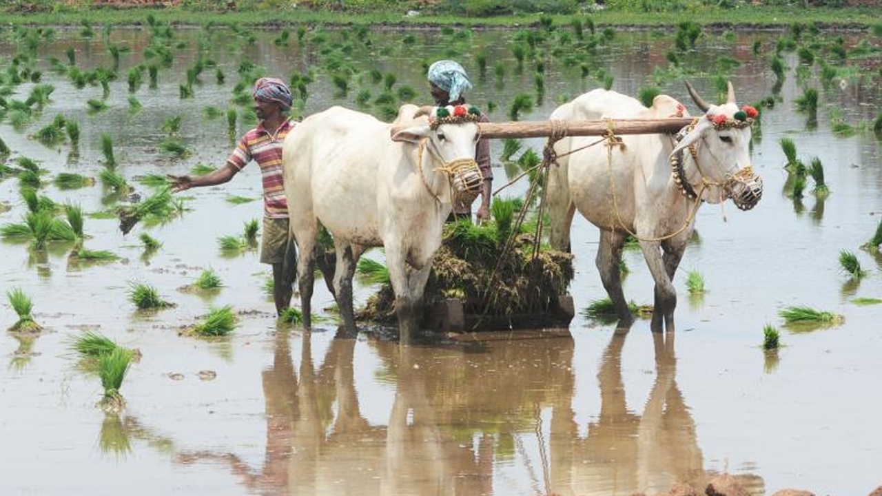 పెట్టుబడి సంబురం