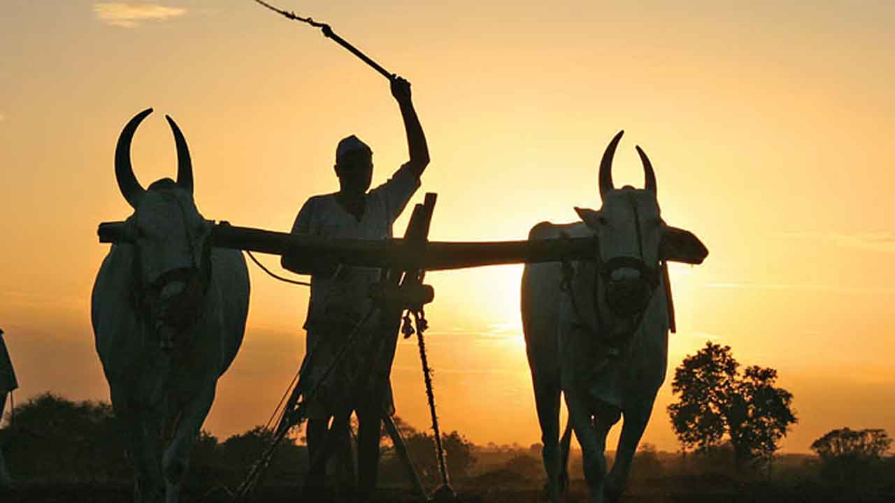 రూ.6.6 కోట్ల లోన్ ఇవ్వండి.. హెలికాప్ట‌ర్ కొనేందుకు రైతు ద‌ర‌ఖాస్తు