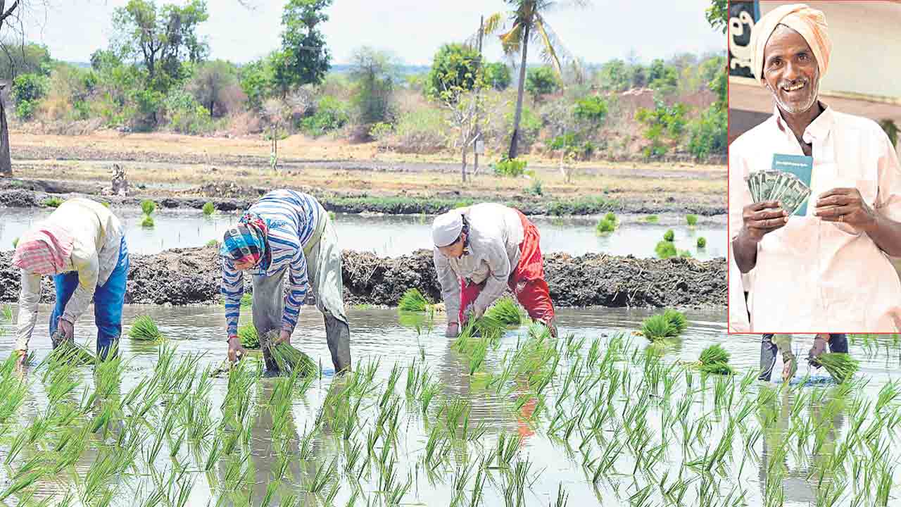 యాళ్లకు పంట పెట్టుబడి