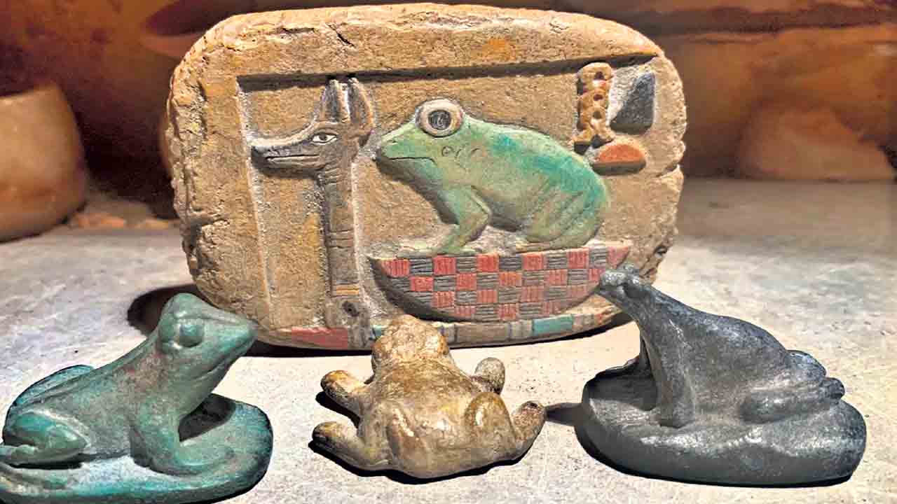 కప్పల రుతురాగం.. మండూక సూక్తం