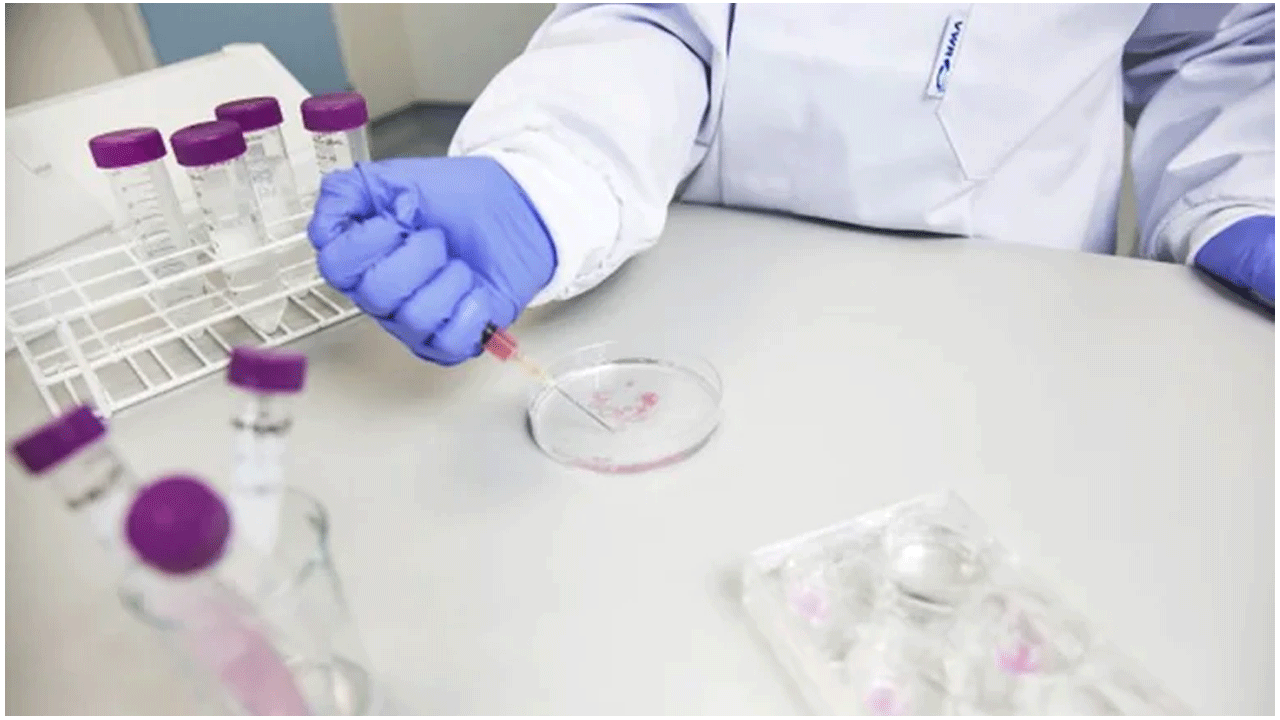 వండ‌ర్ జెల్ : గుండె పోటుతో వాటిల్లే డ్యామేజ్‌ను స‌రిదిద్దే ఆవిష్క‌ర‌ణ‌