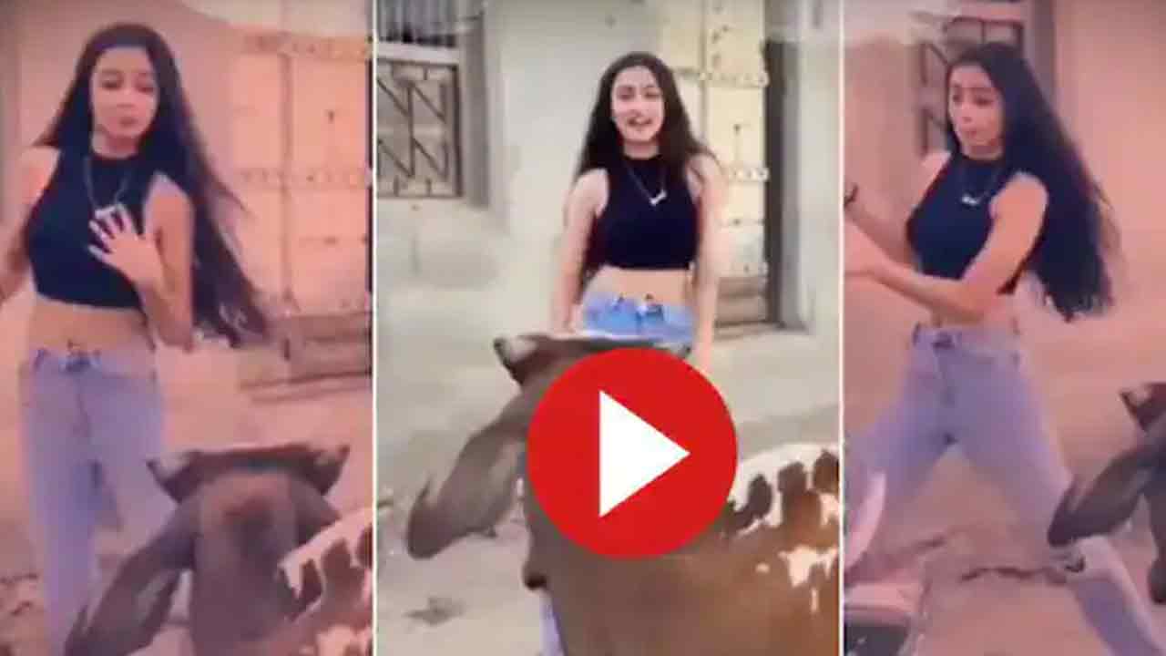Viral video: ఎద్దు ముందు డ్యాన్స్ చేయాల‌నుకుంది..కానీ త‌ర్వాత ఏమైందంటే?