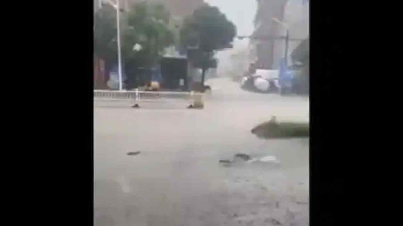 Fake Video: గువ‌హ‌టి రోడ్ల‌పై చేప‌ల స్విమ్మింగ్‌..సోష‌ల్ మీడియాలో ఫేక్ వీడియో వైర‌ల్‌!!