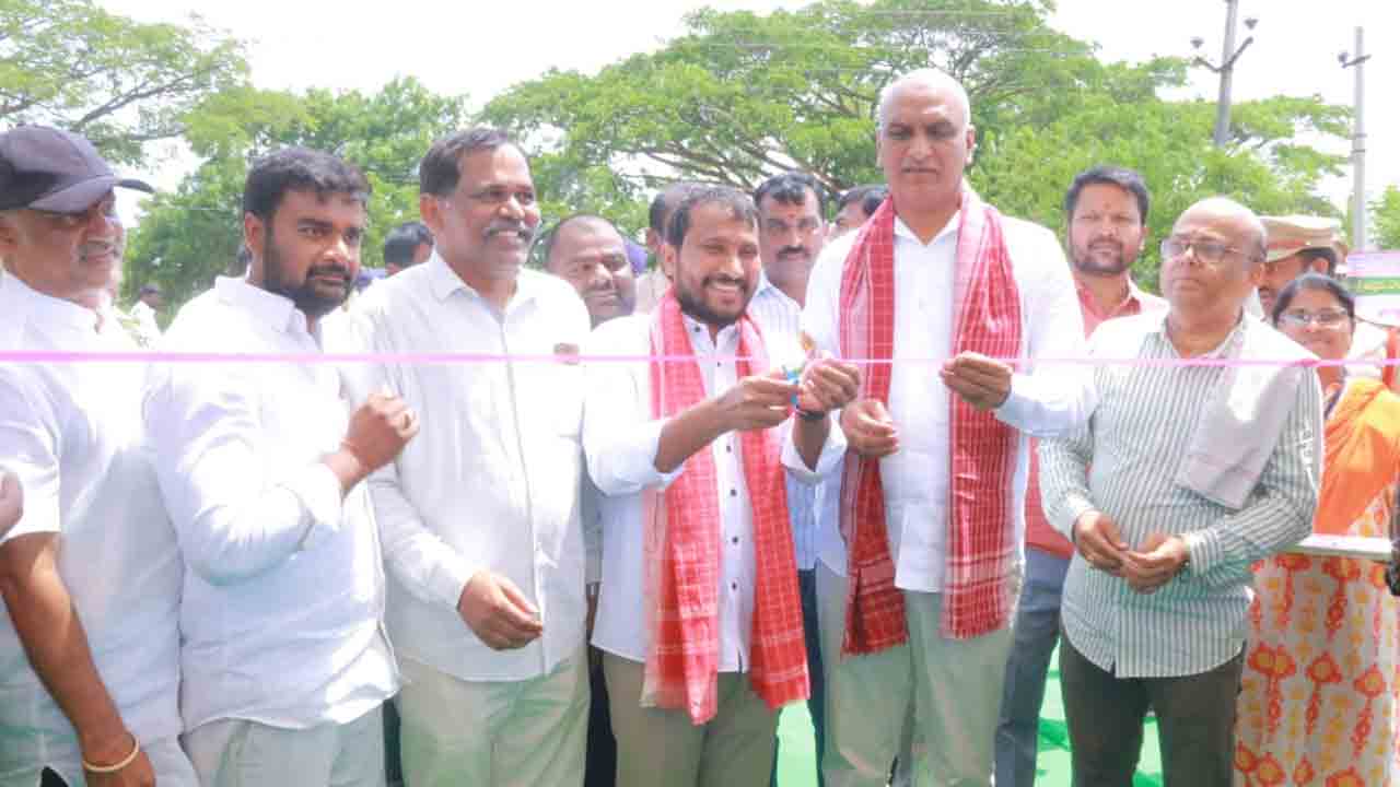 దక్కనీ గొర్రెలను అధిక సంఖ్యలో పెంచాలి : మంత్రి హరీశ్‌ రావు