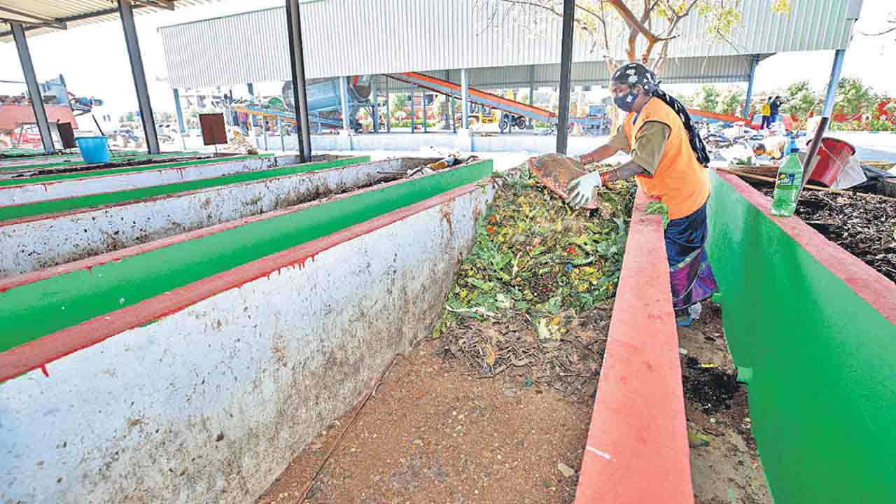 సేంద్రియ ప్లాంట్లు