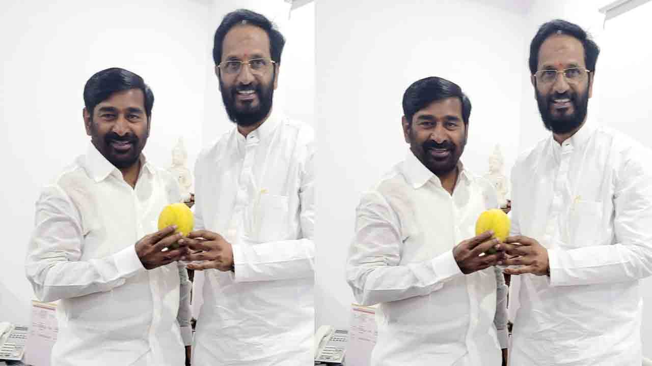 మామిడిలో నూతన వంగడాన్ని ఆవిష్కరించిన మంత్రి జగదీష్‌ రెడ్డి