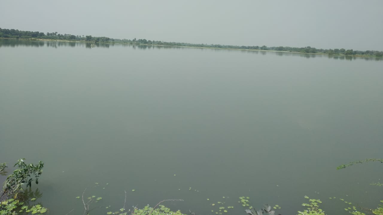 జలం.. పుష్కలం