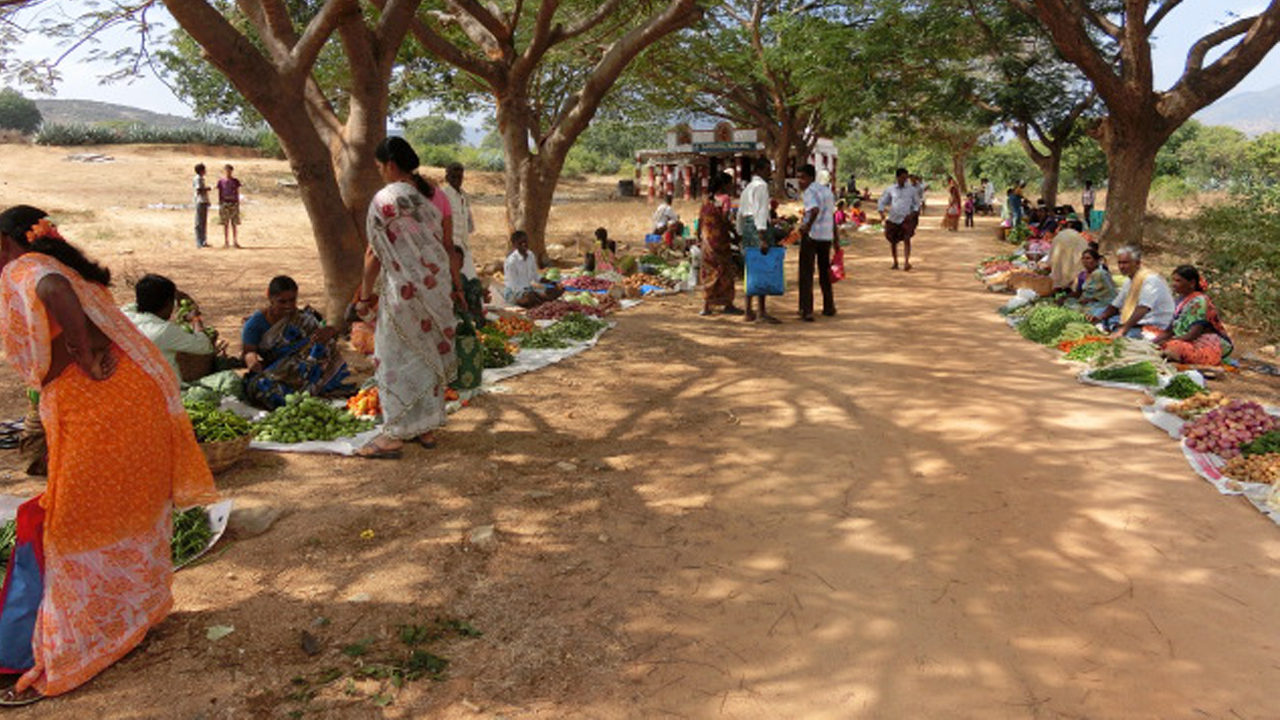 ఆదాయ మార్గాలు.. స్థానిక వనరులు