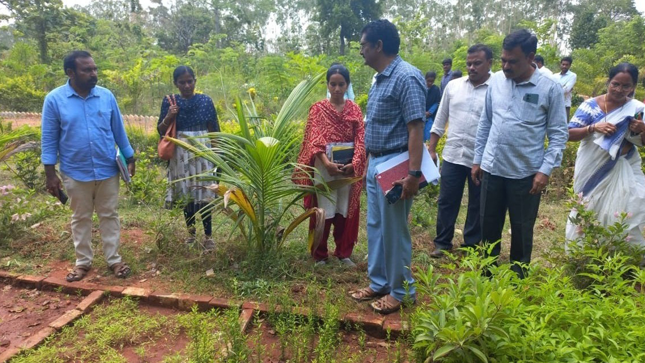 ‘పల్లె ప్రగతి’ని పండుగలా నిర్వహించాలి