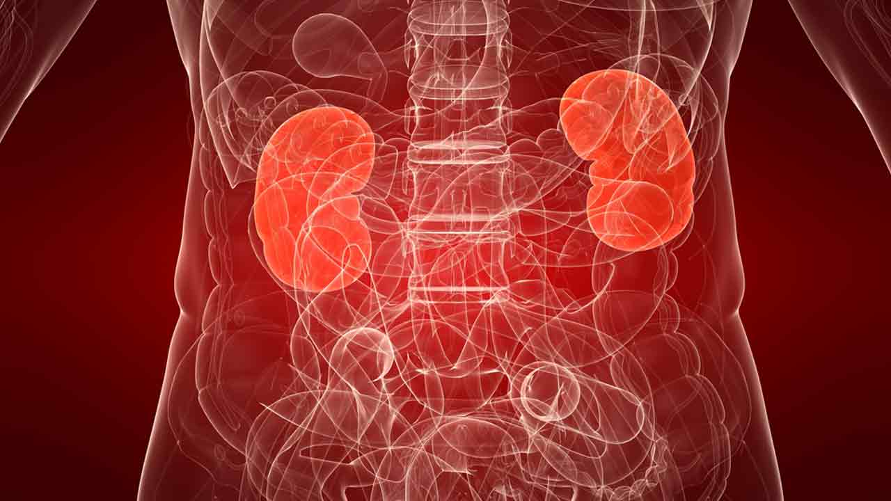Kidney Health: ఈ ఐదు దుర‌ల‌వాట్ల‌తో మీ కిడ్నీలు పాడైపోతాయ్‌!!
