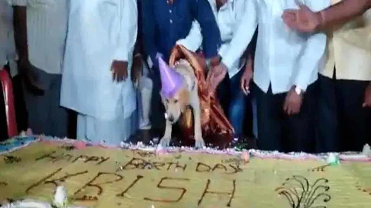 Viral video:  100 కిలోల కేక్.. 4000 మంది అతిథులు.. ఈ బ‌ర్త్‌డే ఎవ‌రిదో తెలిస్తే ఆశ్చ‌ర్య‌పోతారు!!