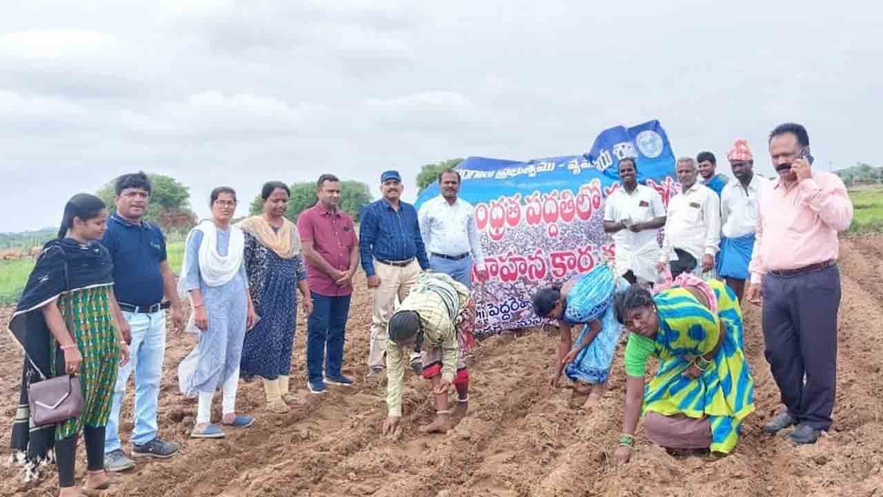 జూలై 10లోగా దరఖాస్తు చేసుకోవాలి