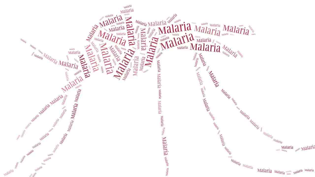 వ‌ర్షాకాలం మ‌లేరియా ముప్పు.. నివార‌ణ చిట్కాలివే!!