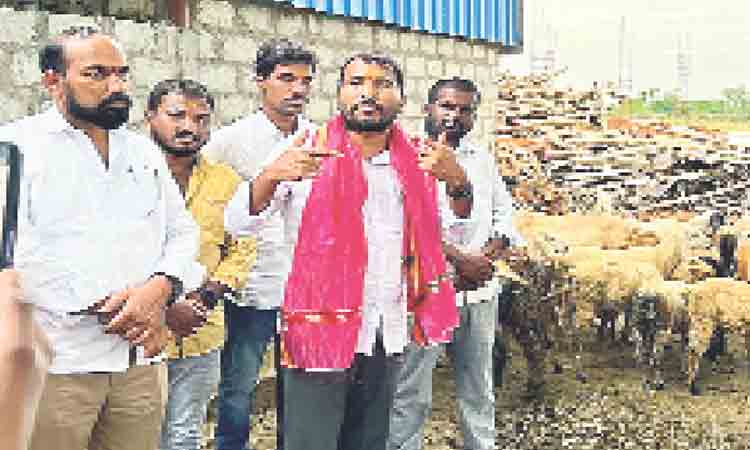 గొల్లకురుమల ఆర్థిక పురోభివృద్ధికే గొర్రెల పంపిణీ