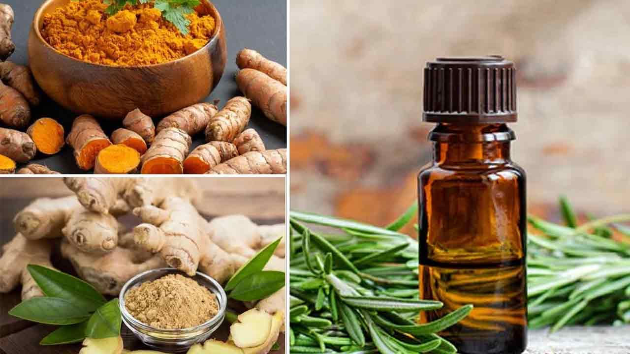 Natural Painkillers | మీ వంటింట్లోనే స‌హ‌జ పెయిన్ కిల్ల‌ర్స్‌..  నొప్పుల‌కు దివ్యౌష‌ధాలు!!