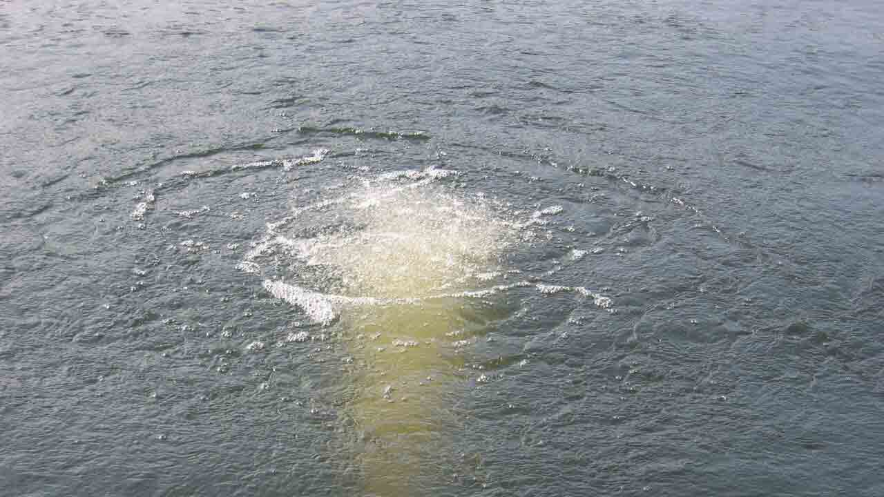 చెరువులో దూకి వృద్ధురాలి ఆత్మహత్యాయత్నం.. కాపాడిన యువకుడు