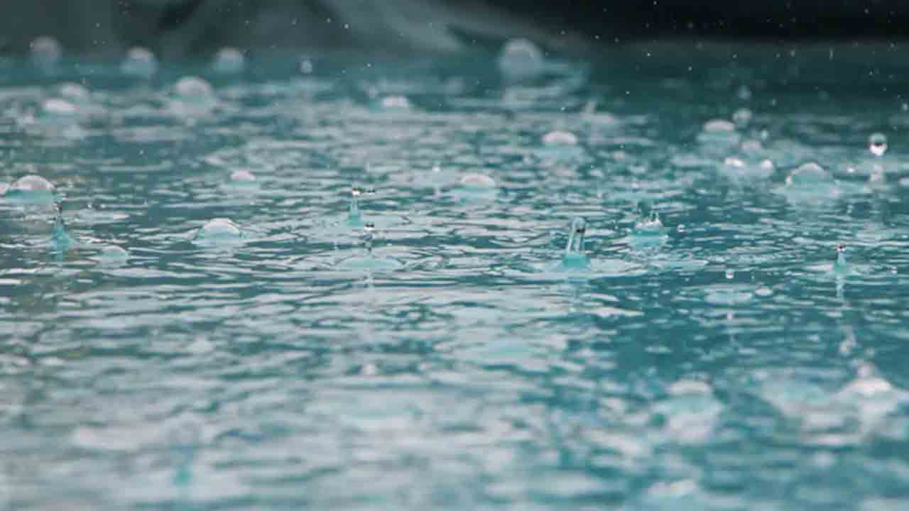 Monsoon diet | వ‌ర్షాకాలంలో ఈ నాలుగు కూర‌గాయ‌లు అస్స‌లు తిన‌కండి..