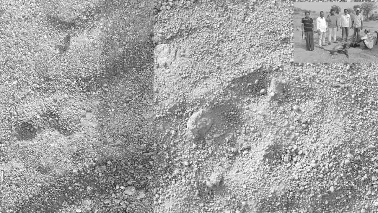 సిరిసిల్ల జిల్లాలో చిరుత కలకలం..