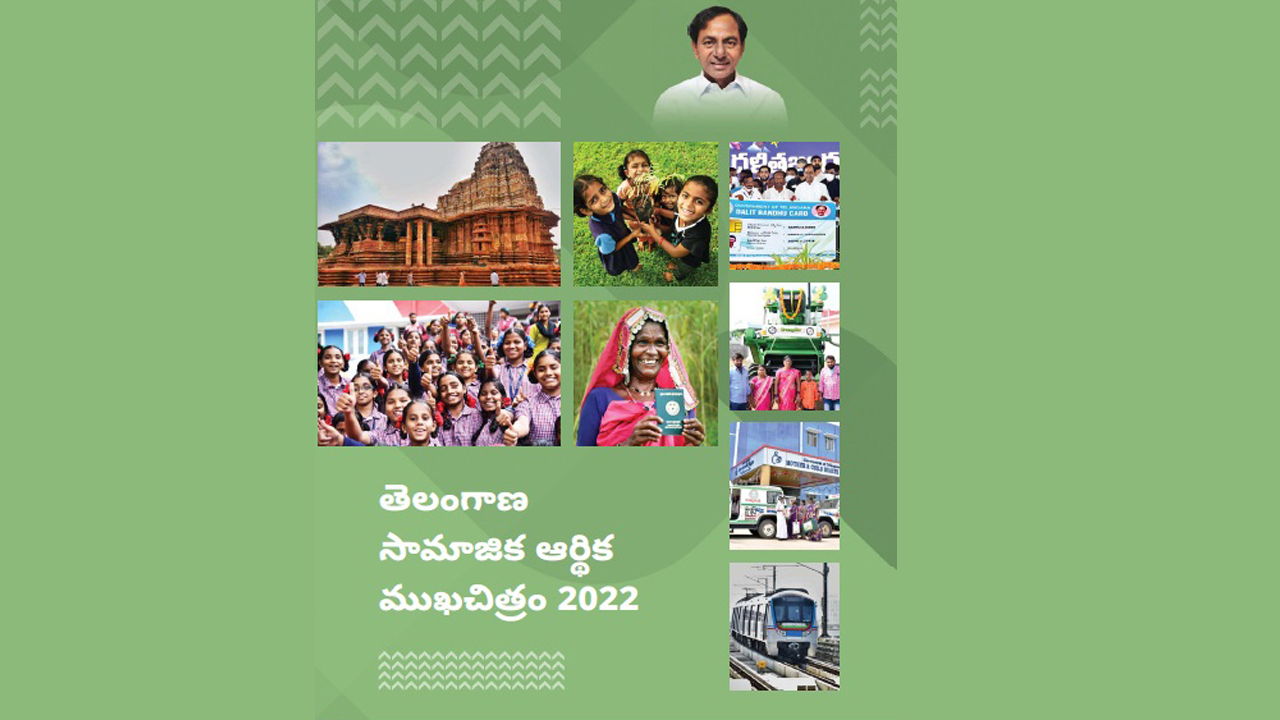 తెలంగాణ సామాజిక, ఆర్థిక ముఖచిత్రం పుస్తకం