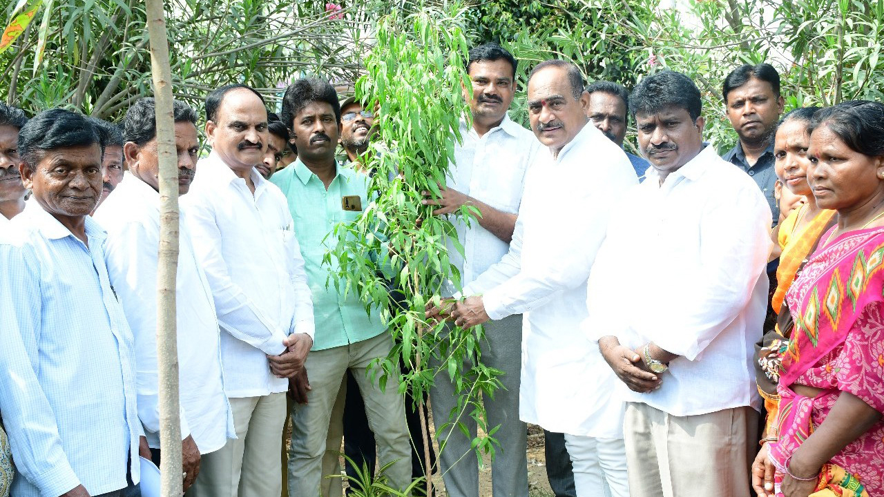 పచ్చని దైవానికి మొక్కాలి..!