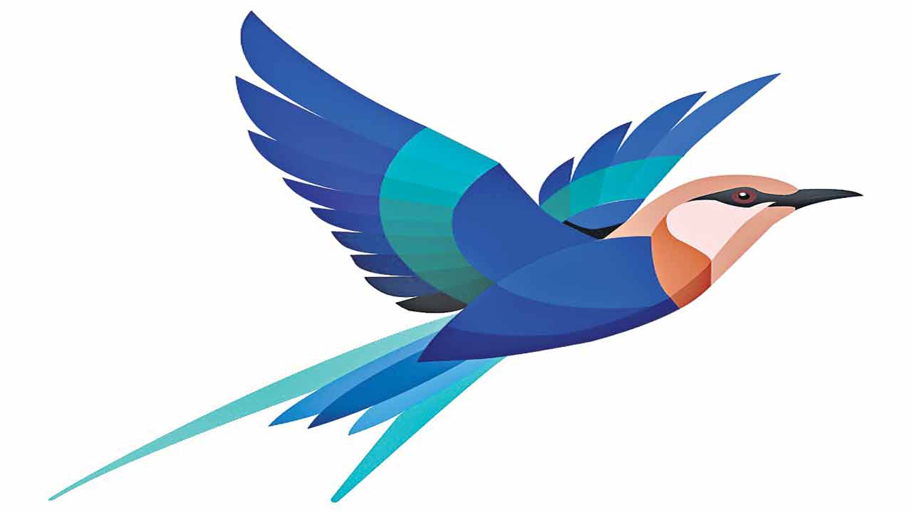 యాడజూడు సంబురాలే