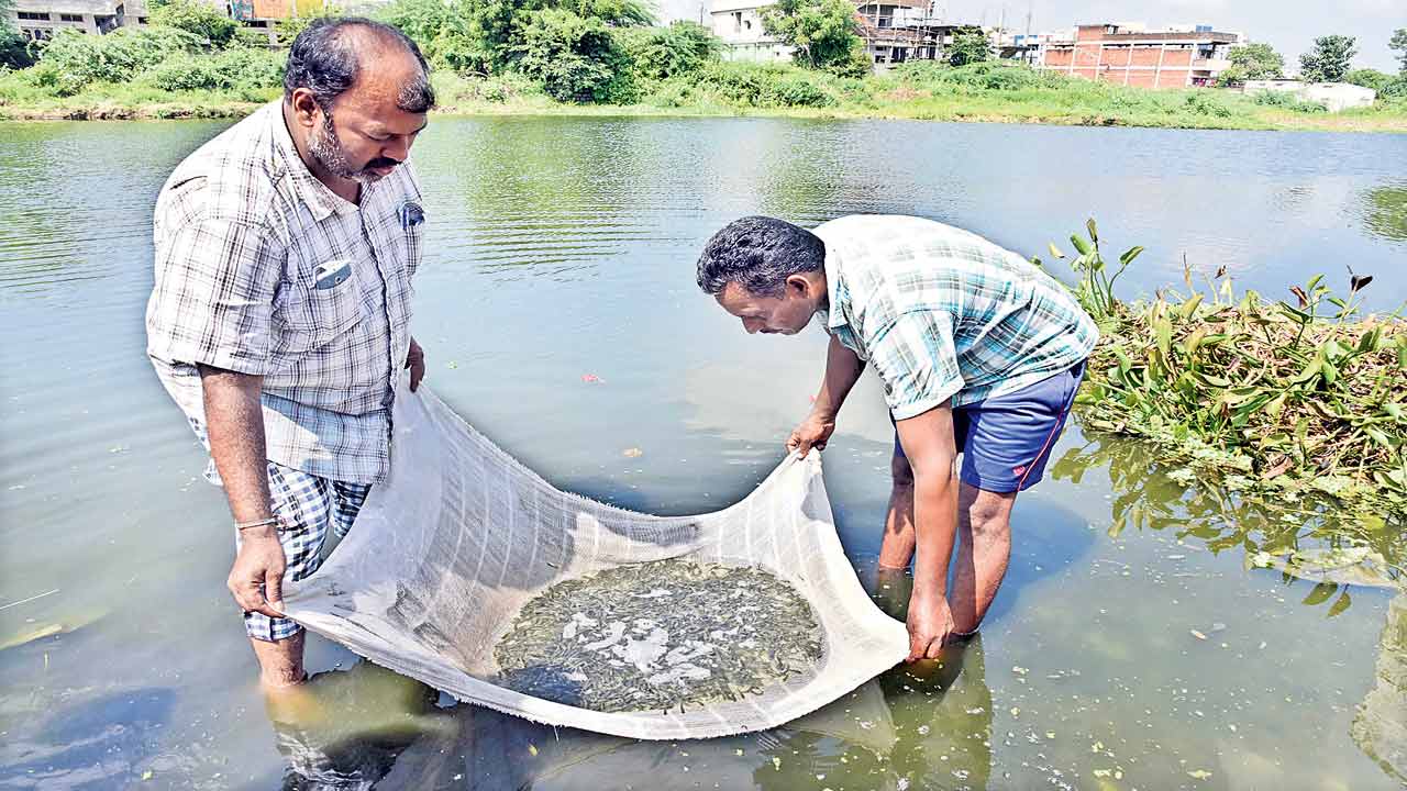 లక్ష్యం 2.40 కోట్లు