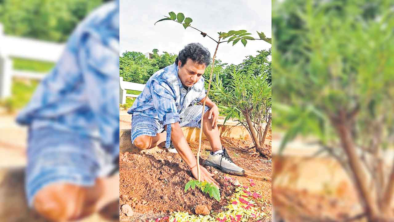 గ్రీన్‌ ఇండియా చాలెంజ్‌లో సంగీత దర్శకుడు మణిశర్మ