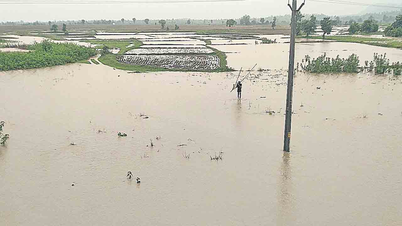చురుకుగా రుతుపవనాలు