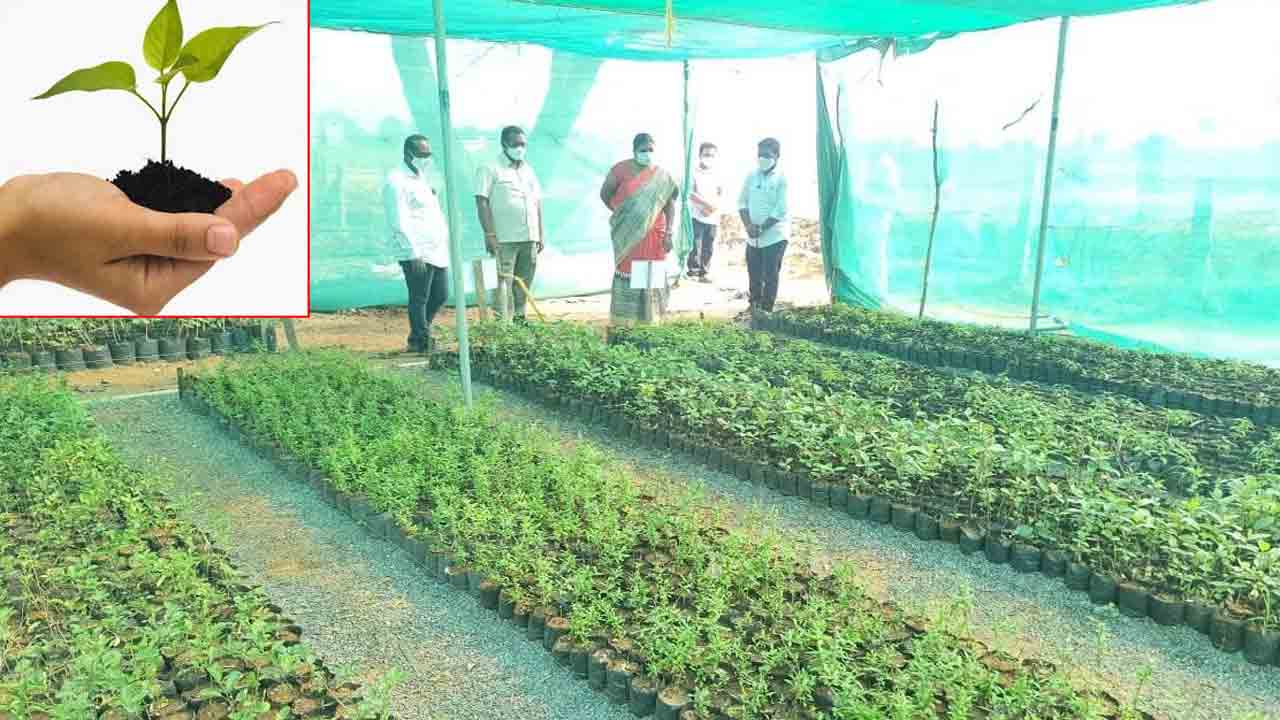 హరితహారానికి.. సర్వం సిద్ధం