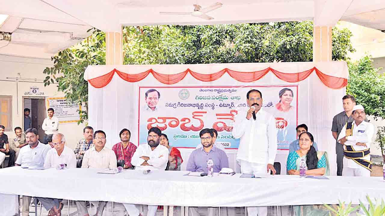 ఉపాధి రంగాలపై దృష్టి పెట్టండి